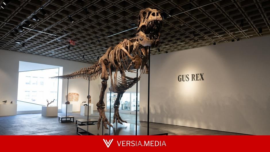 T. rex 'Gus' sells for record-breaking $50.1 million