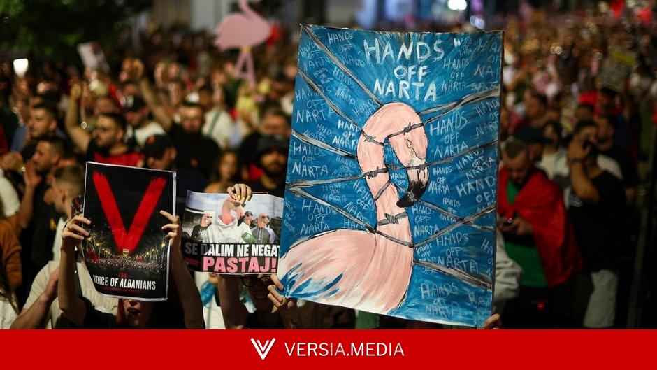 The 'Flamingo Revolution': What's behind Albania's protests?