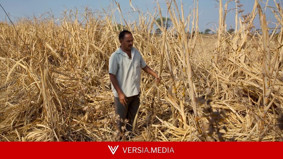 India braces for drought as El Nino looms