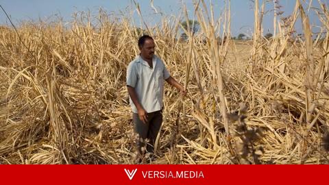 India braces for drought as El Nino looms